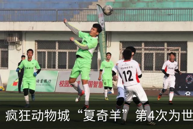 疯狂动物城“夏奇羊”第4次为世界杯开嗓，版税将全捐用于贫困儿童教育